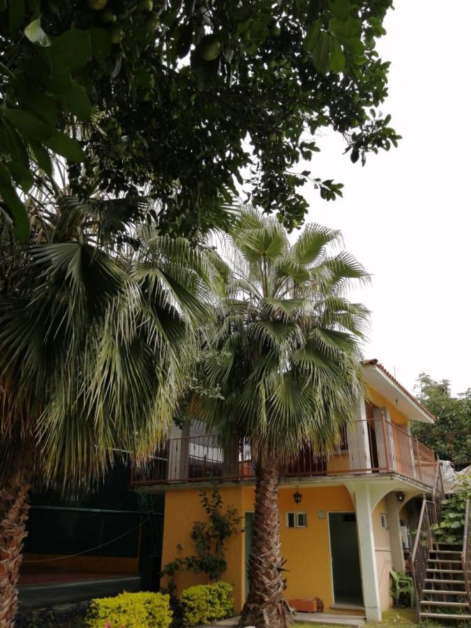 Hotel Quinta Del Descanso Cuautla  Zewnętrze zdjęcie